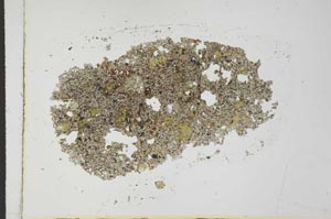 Plane Polarized, S26001