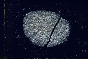 Cross Polarized, S26013