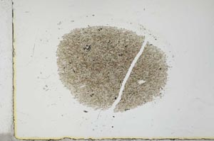 Plane Polarized, S26013