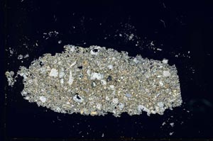 Cross Polarized, S26015