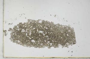 Plane Polarized, S26015