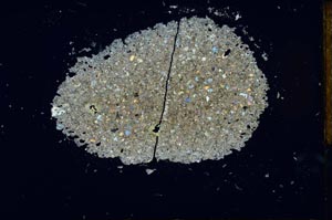 Cross Polarized, S26016