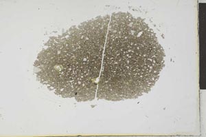 Plane Polarized, S26016