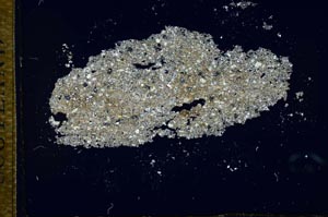 Cross Polarized, S26017