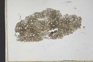 Plane Polarized, S26017