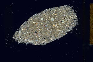 Cross Polarized, S26018