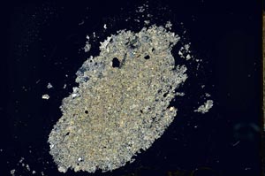 Cross Polarized, S26019