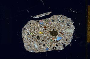 Cross Polarized, S26020