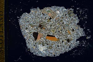 Cross Polarized, S26021