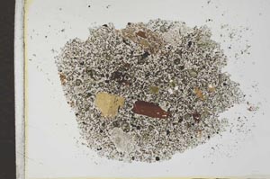 Plane Polarized, S26021