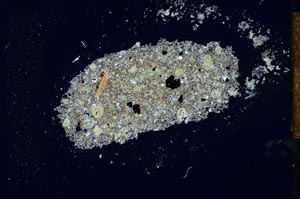 Cross Polarized, S26022