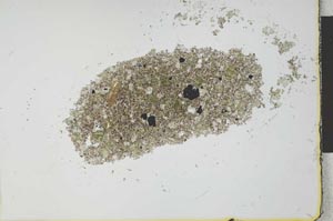 Plane Polarized, S26022