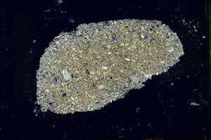 Cross Polarized, S26023