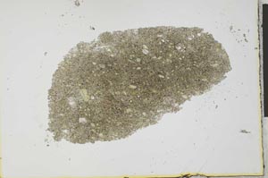 Plane Polarized, S26023