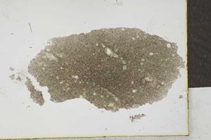 Plane Polarized, S26025