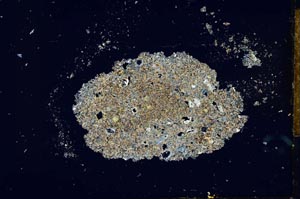 Cross Polarized, S26026