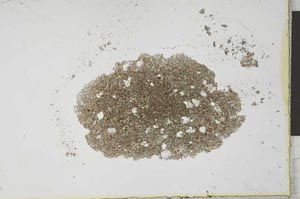 Plane Polarized, S26026