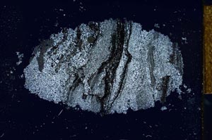 Cross Polarized, S26027