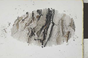 Plane Polarized, S26027