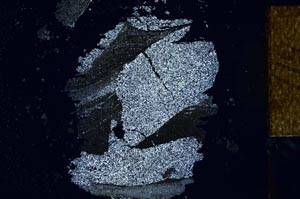 Cross Polarized, S26028