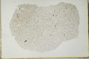 Plane Polarized, S26110