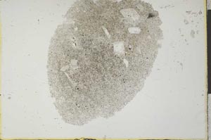 Plane Polarized, S26112