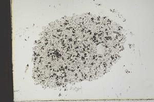 Plane Polarized, S26117