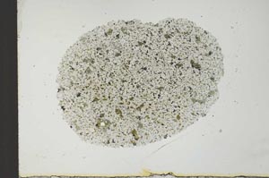 Plane Polarized, S26118