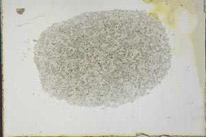Plane Polarized, S26121