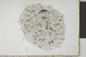 Plane Polarized, S26122