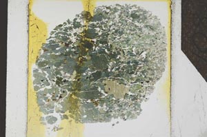 Plane Polarized, S26177