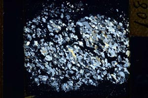 Cross Polarized, S26185/A