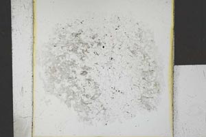 Plane Polarized, S26186