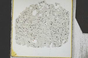 Plane Polarized, S26209