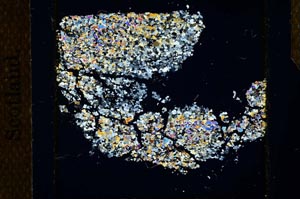 Cross Polarized, S26256