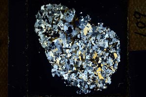 Cross Polarized, S26259