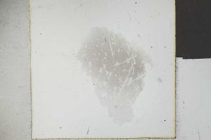 Plane Polarized, S26304