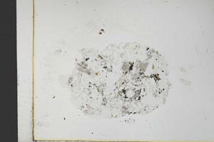 Plane Polarized, S26305