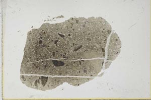 Plane Polarized, S26313
