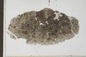 Plane Polarized, S26329