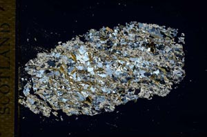 Cross Polarized, S26339