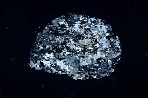 Cross Polarized, S26341