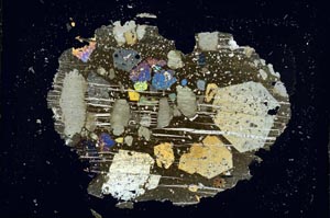 Cross Polarized, S26342