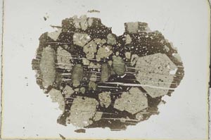 Plane Polarized, S26342