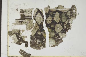 Plane Polarized, S26343