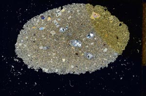 Cross Polarized, S26344