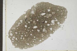 Plane Polarized, S26345