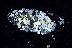 Cross Polarized, S26346