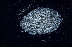 Cross Polarized, S26347