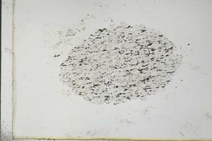 Plane Polarized, S26347